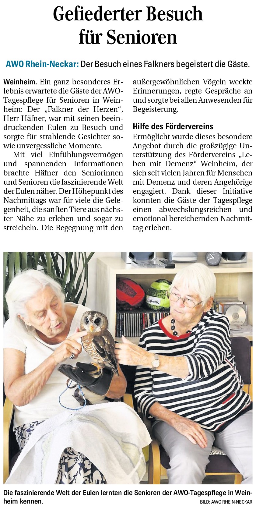 Presseartikel der Weinheimer Nachrichten zur Ankündigung des Gesundheitstags 2025